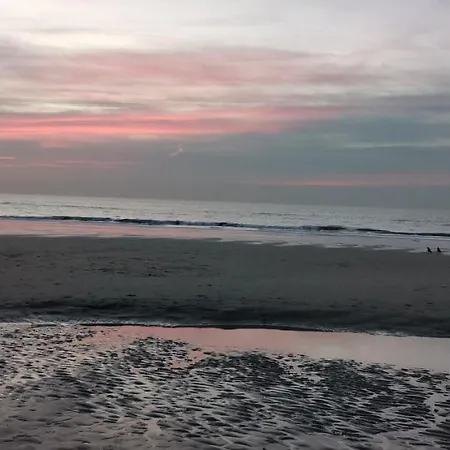 Zomerhuis Aan Zee 150m Your Own Private Bubble Bed & Breakfast
