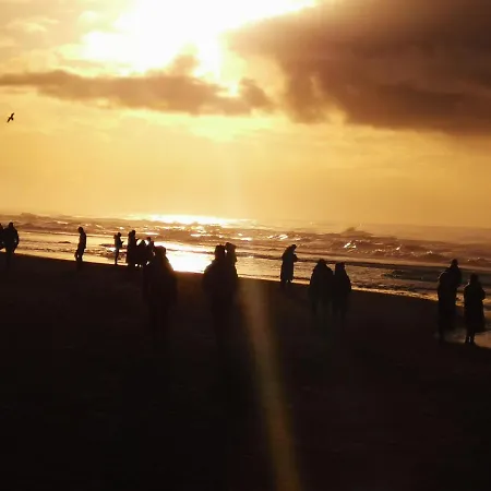 Zomerhuis Aan Zee 150m Your Own Private Bubble B&B 노르트베이크