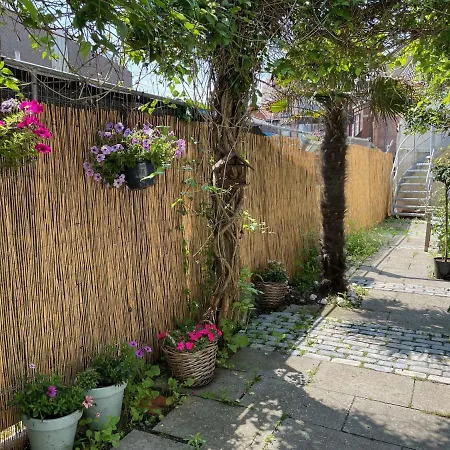 B&B Zomerhuis Aan Zee 150m Your Own Private Bubble